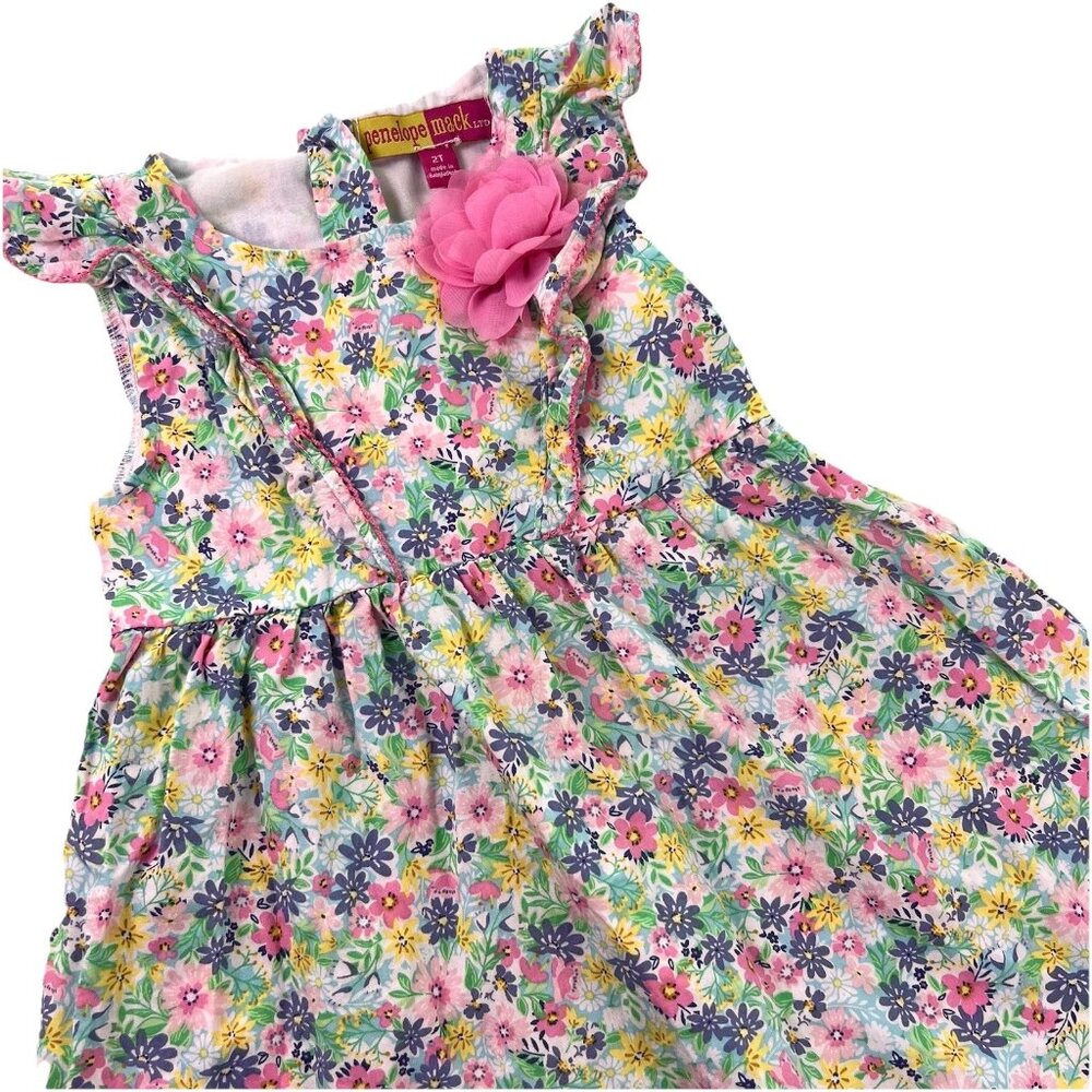 Penelope Mack 2T Floral Ruffle Dress Pink Flower Cottagecore Spring Easter